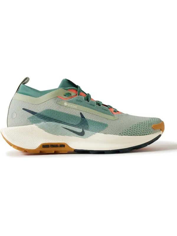 Nike Pegasus Trail 5 GTX